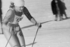 1991. gads Apkārt Alaukstam