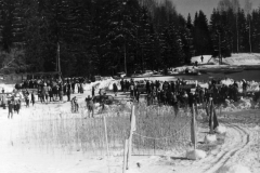 1991. gads Apkārt Alaukstam