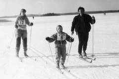 1991. gads Apkārt Alaukstam