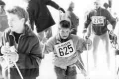 1996. gads Apkārt Alaukstam