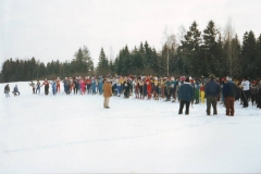 1996. gads Apkārt Alaukstam