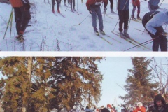 2006. gads Apkārt Alaukstam