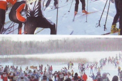 2006. gads Apkārt Alaukstam