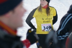 2010. gads Apkārt Alaukstam