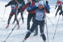 2010. gads Apkārt Alaukstam