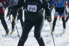2010. gads Apkārt Alaukstam