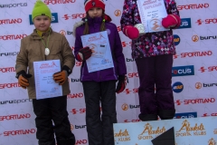 2015. gads Apkārt Alaukstam