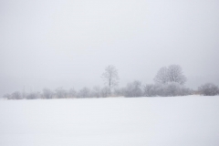 20180210-IMG_0267