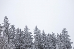 20180210-IMG_0390