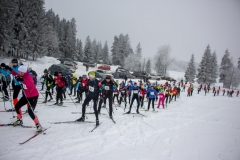 Apkart_Alaukstam25-0521