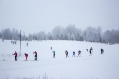 Apkart_Alaukstam25-0529