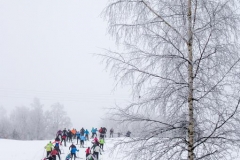 Apkart_Alaukstam25-0572