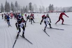 Apkart_Alaukstam_2018_15
