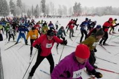 Apkart_Alaukstam_2018_19